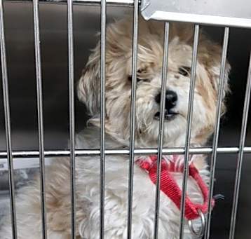 Photo of WINNIE