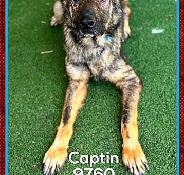 Photo of CAPTIN