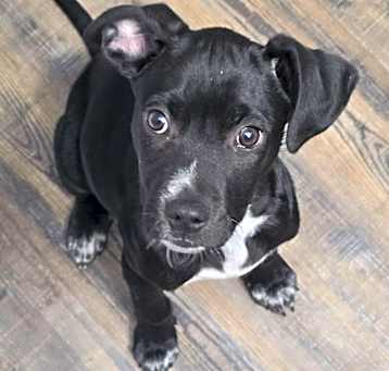 Photo of Jovi