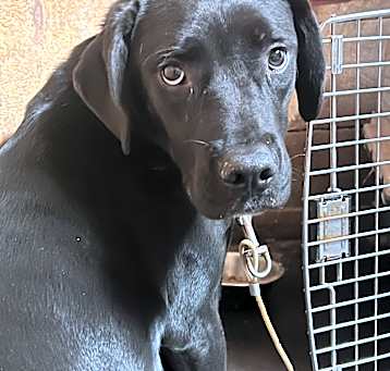 Photo of Zoe