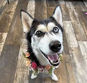Photo of Nyla