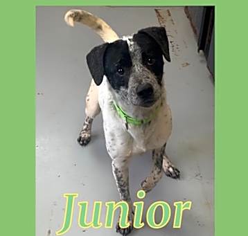 Photo of Junior