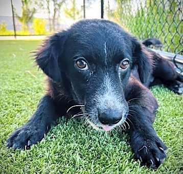 Photo of Jazz