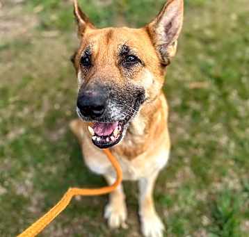 Photo of Nox