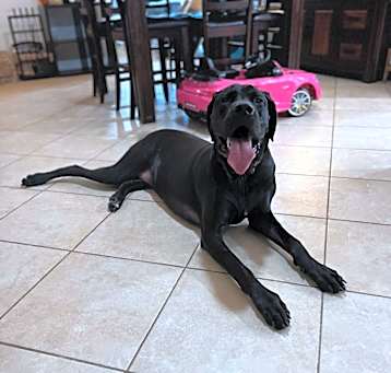 Photo of Leia