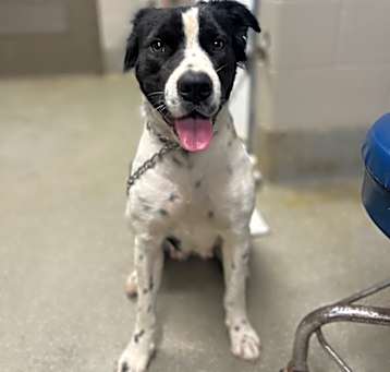 Photo of Delilah