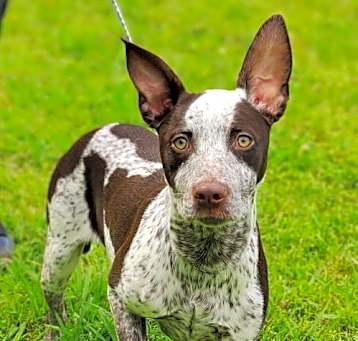 Photo of Arwen