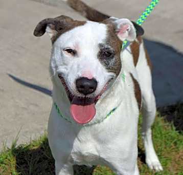 Photo of JEWELS/URGENT