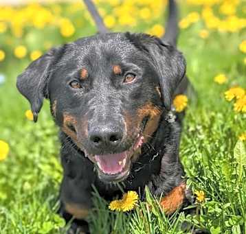 Photo of Miss Clyde
