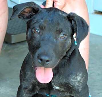 Photo of SPROUT/URGENT
