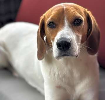 Photo of Lucy