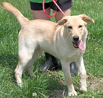 Photo of Patches