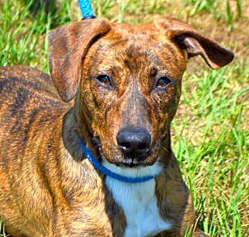 Photo of WINSLEY/URGENT