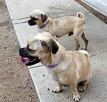 Photo of BASIL & ROSEMARY