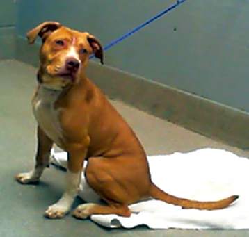 Photo of *TIA
