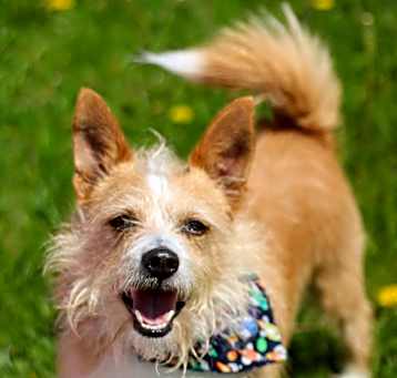 Photo of Rocket