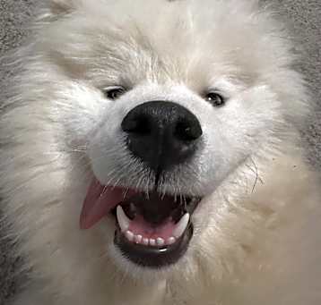 Photo of Thor