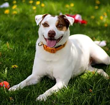 Photo of Sid