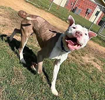 Photo of Zeus