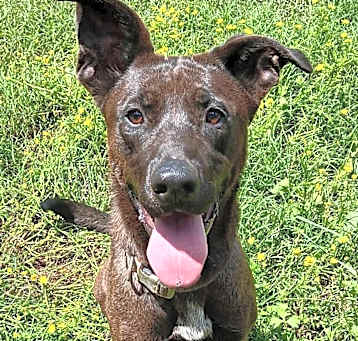 Photo of Remi
