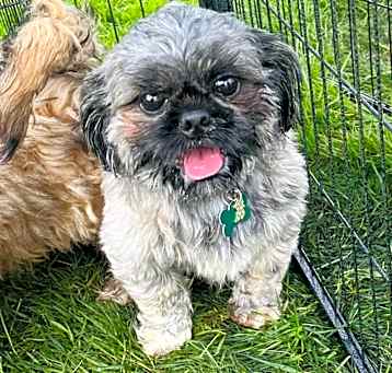 Photo of Phillipe 