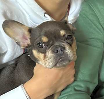 Photo of Drako