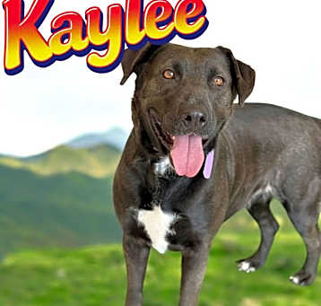 Photo of Kaylee