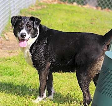 Photo of SPOT