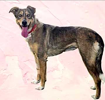 Photo of ESME