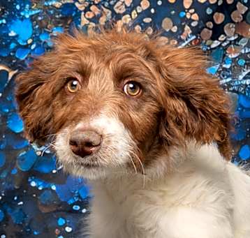 Photo of Elsa