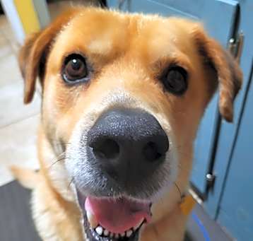 Photo of Turbo