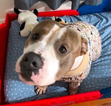 Photo of Max