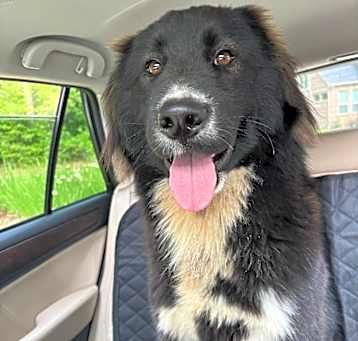 Photo of Nash