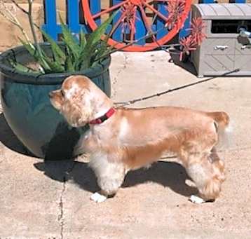 Photo of Max