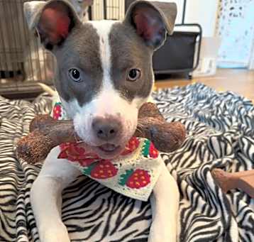 Photo of Penelope