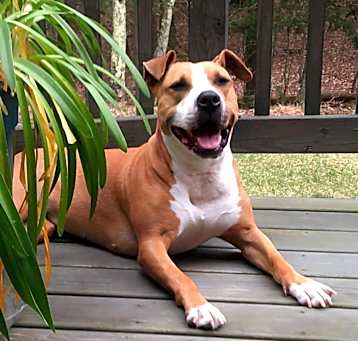 Photo of Mya