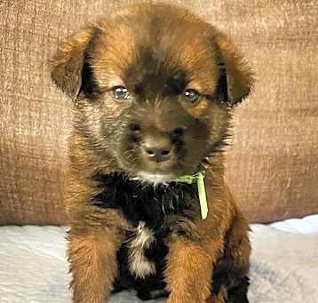 Photo of Theodore