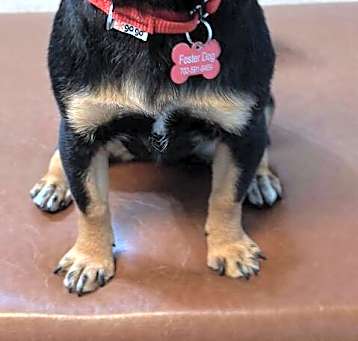 Photo of Mitzi