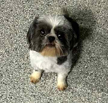 Photo of Sally
