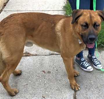 Photo of SCOOBY