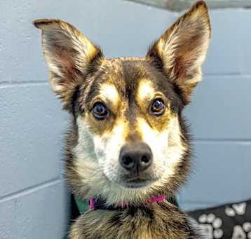 Photo of Hazel