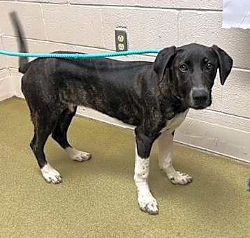 Photo of A542793