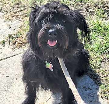 Photo of LELO