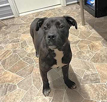Photo of DUMPLIN