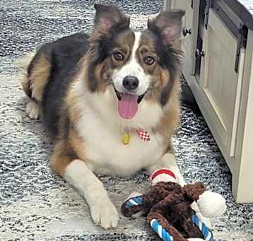 Photo of Finway