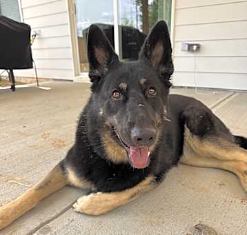Photo of Vesper