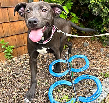 Photo of Bailey Ann ~ meet me!