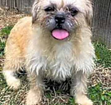 Photo of Ragu