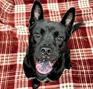 Photo of Margo