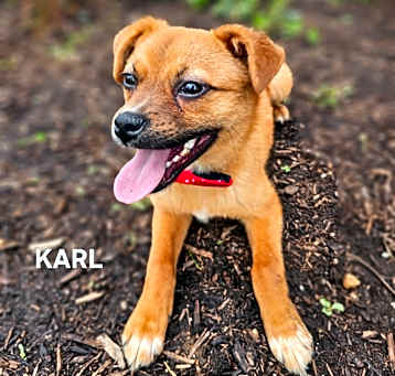 Photo of Karl